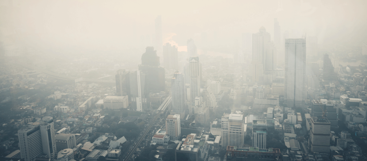 OMS alerta: 99% da população mundial respira ar poluído