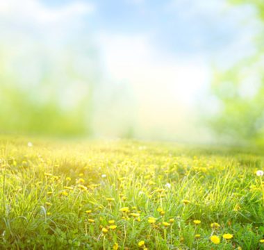 Como a qualidade do ar na primavera afeta a saúde das pessoas?