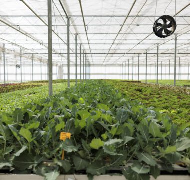 HVAC-R e o Agronegócio: qual a relação nesse setor?