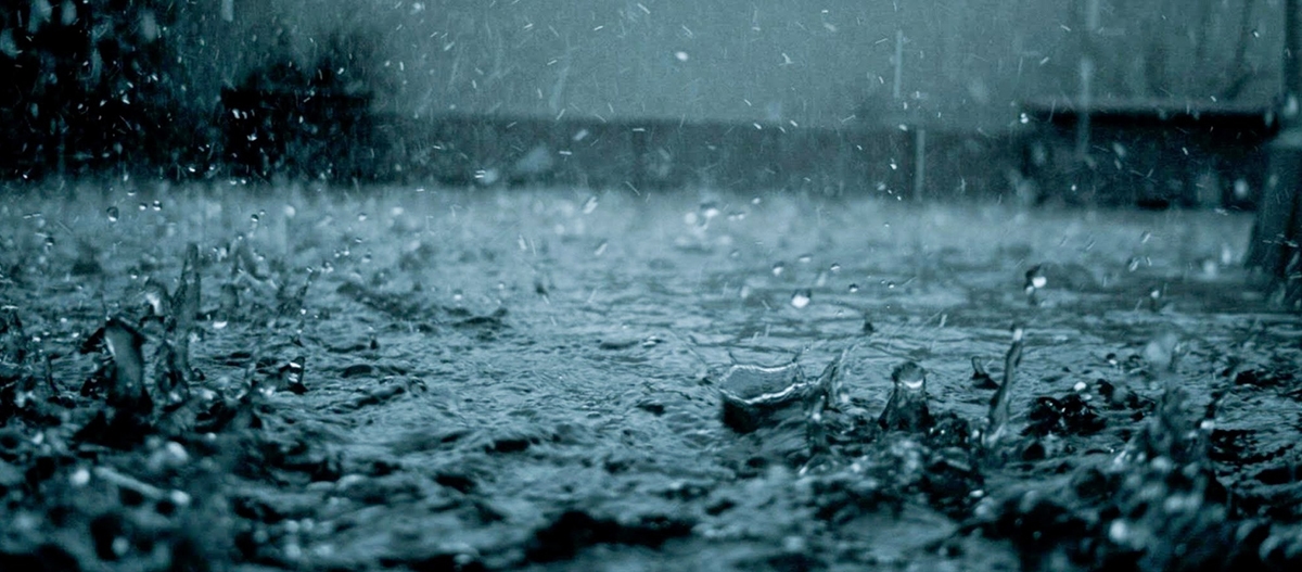 O que é chuva ácida e suas consequências