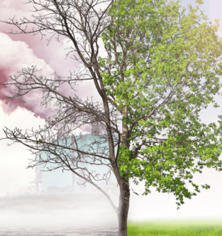 Post: 4 documentários sobre mudanças climáticas que você precisa assistir