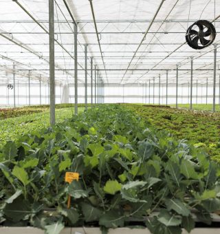 Post: HVAC-R e o Agronegócio: qual a relação nesse setor? 